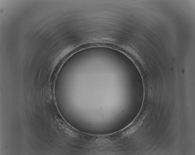 X0000073930974200608181110