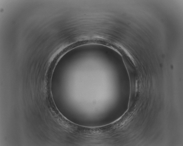 X0000073930975200608181110