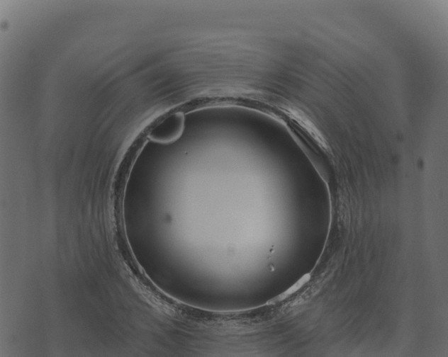 X0000073930976200608181110