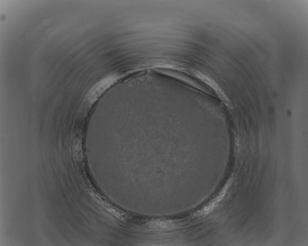 X0000073930977200608181110