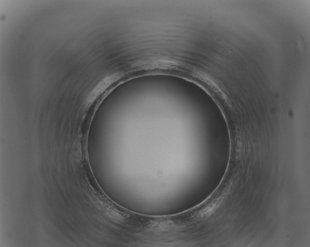 X0000073930978200608181110