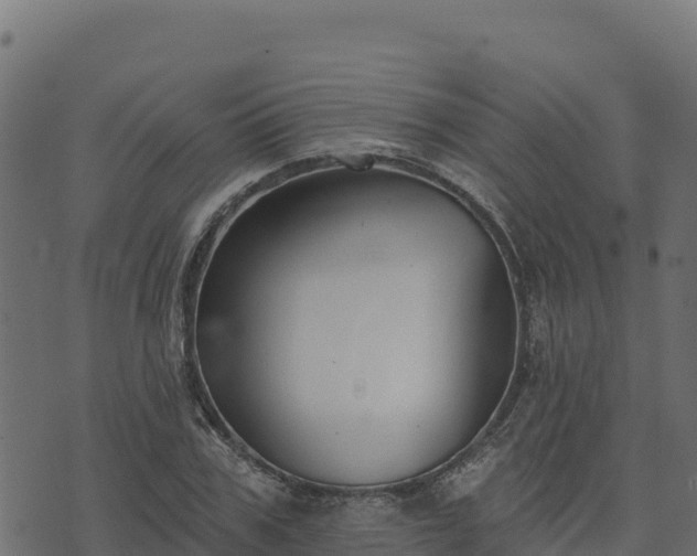 X0000073930979200608181110