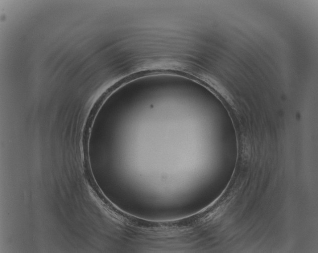 X0000073930980200608181110