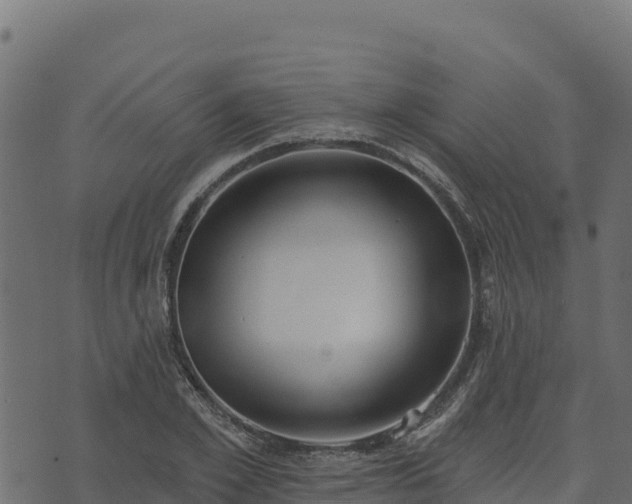 X0000073930981200608181110