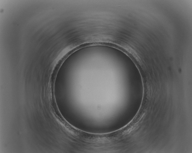 X0000073930982200608181110