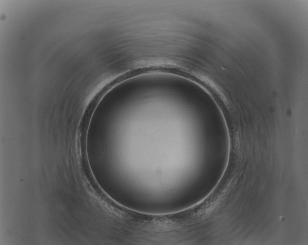 X0000073930983200608181110