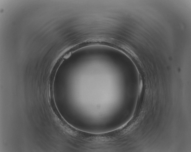 X0000073930984200608181110