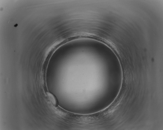 X0000073930987200608181110