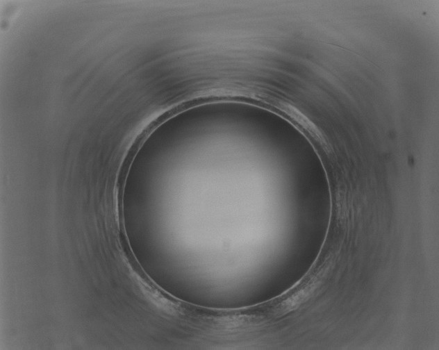 X0000073930988200608181110