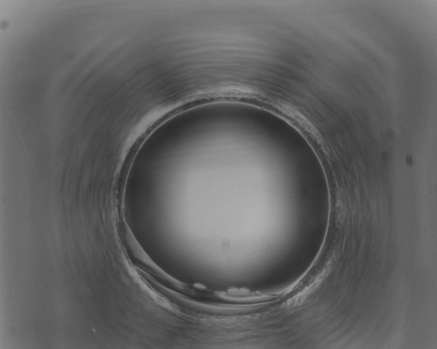 X0000073930989200608181110