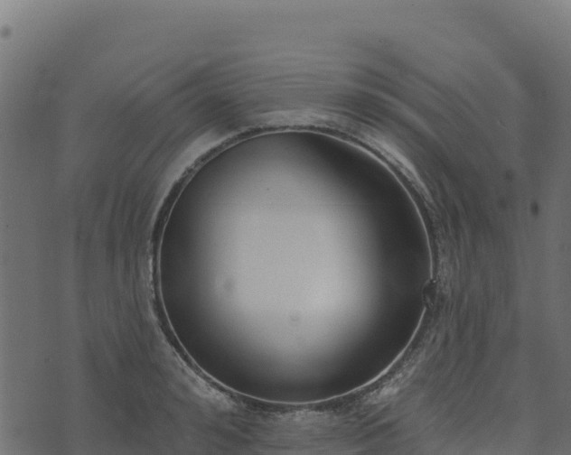 X0000073930992200608181110