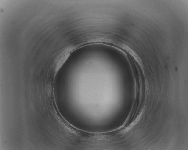 X0000073930993200608181110