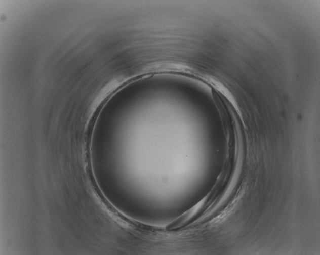 X0000073930997200608181110