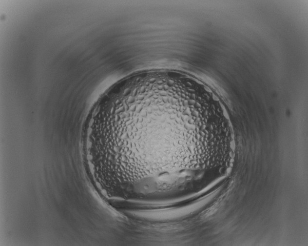 X0000073930998200608181110