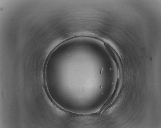 X0000073930999200608181110