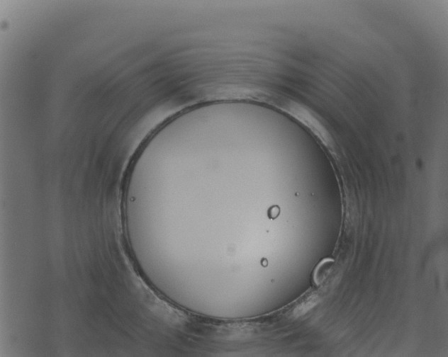 X0000073931000200608181110