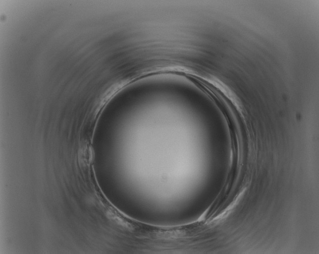 X0000073931001200608181109