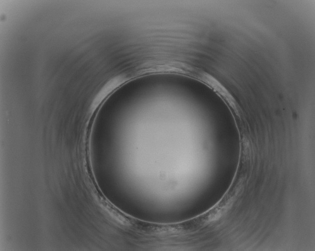 X0000073931002200608181109