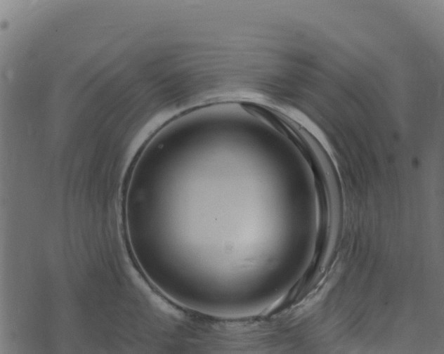 X0000073931005200608181109