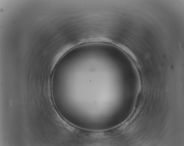 X0000073931006200608181109