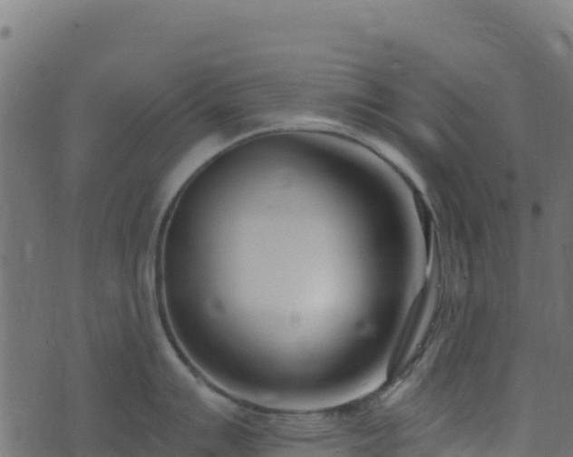 X0000073931007200608181109