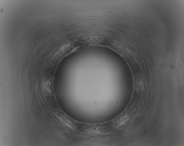 X0000073931010200608181109