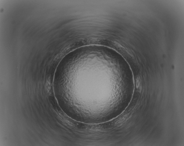 X0000073931011200608181109