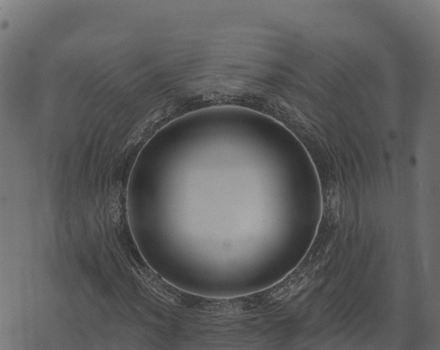 X0000073931012200608181109