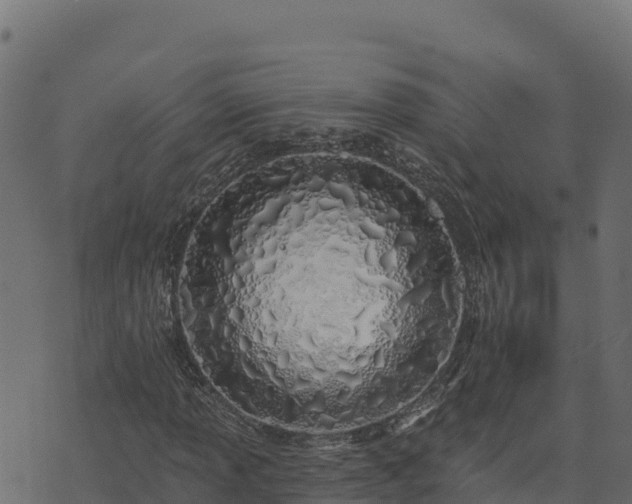 X0000073931013200608181109