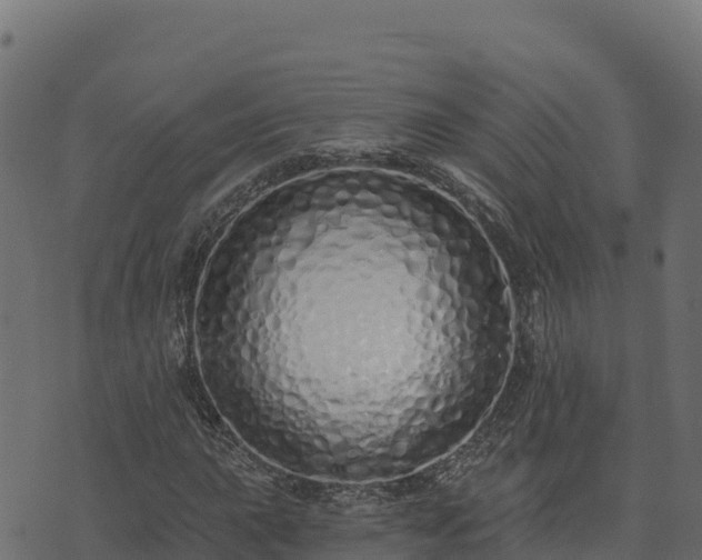 X0000073931015200608181109