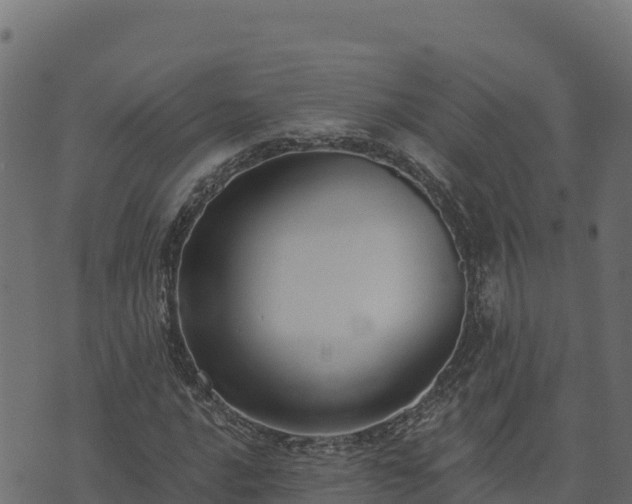 X0000073931016200608181109