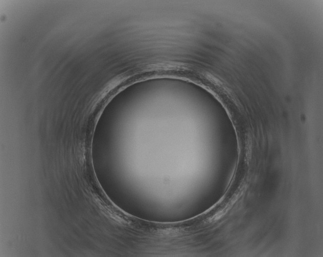 X0000073931017200608181109