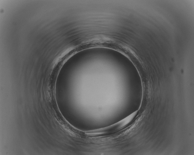 X0000073931018200608181109