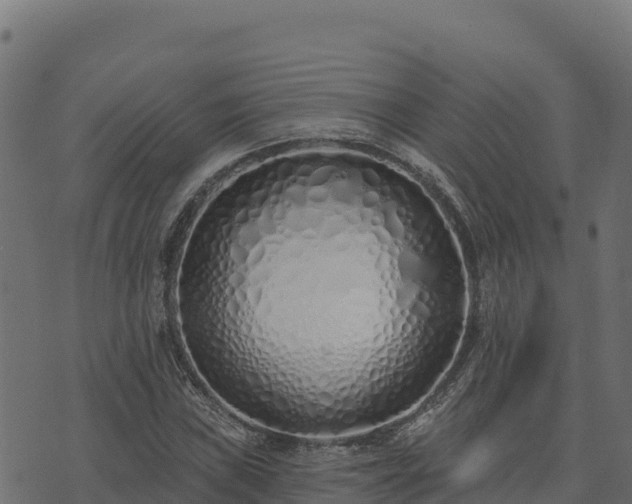 X0000073931019200608181109