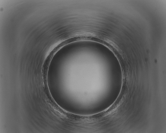 X0000073931022200608181109