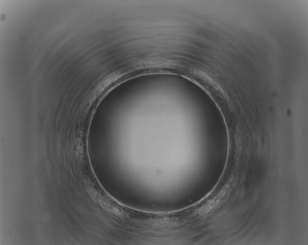 X0000073931025200608181109