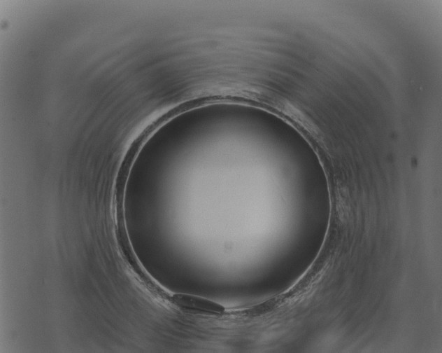 X0000073931028200608181109