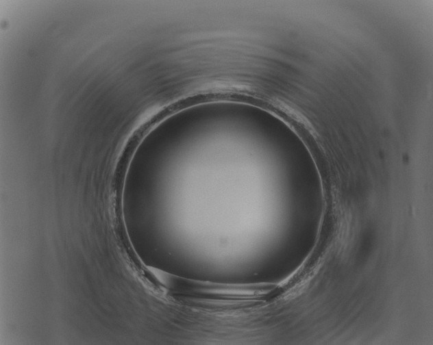 X0000073931029200608181109