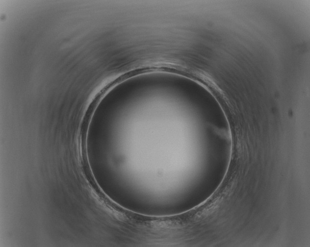 X0000073931032200608181109