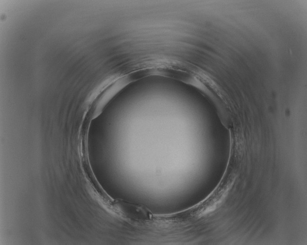 X0000073931034200608181109