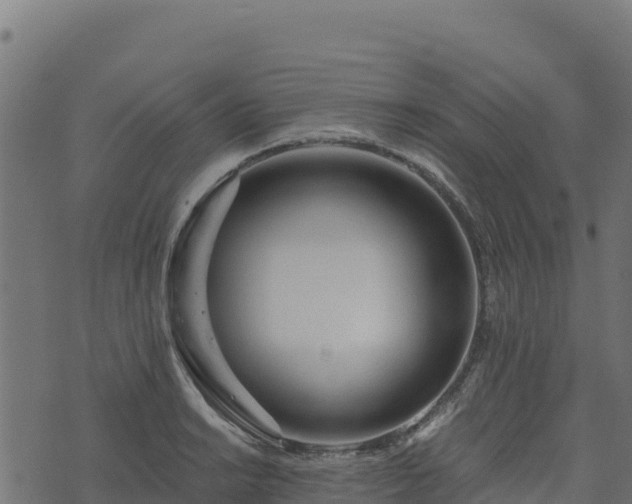 X0000073931038200608181109