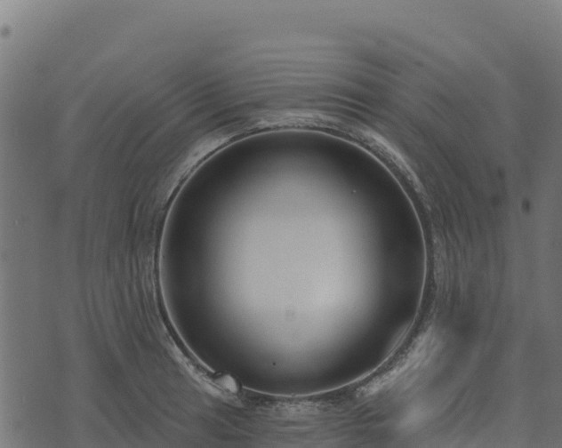 X0000073931041200608181109