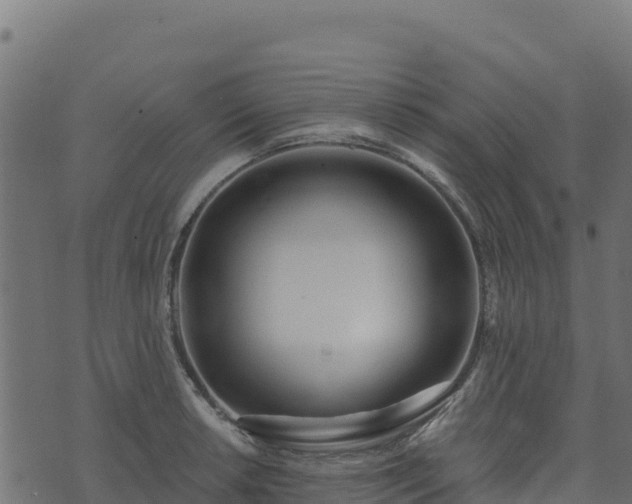 X0000073931042200608181109