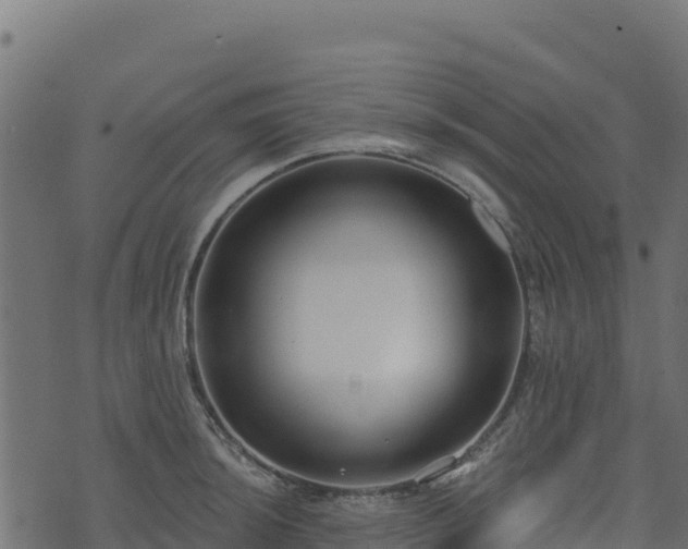 X0000073931044200608181109