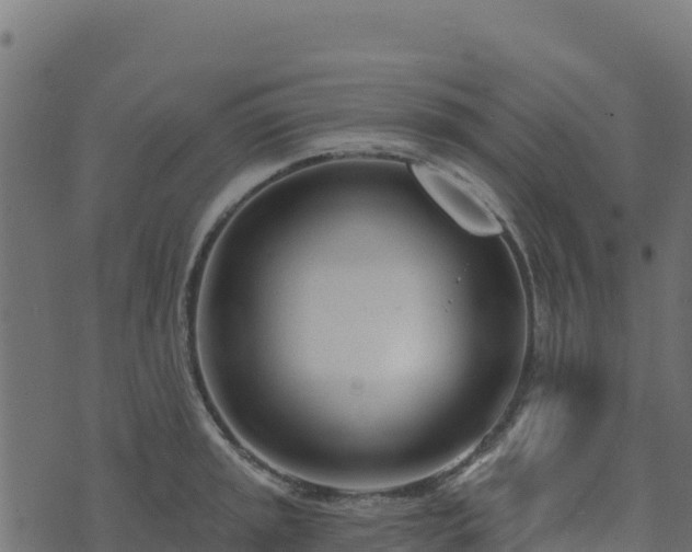 X0000073931045200608181109