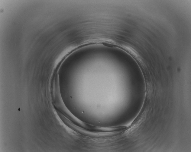 X0000073931046200608181109