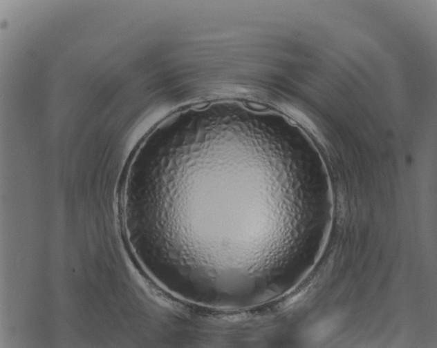 X0000073931047200608181109