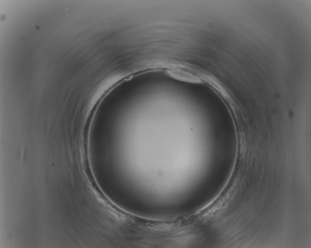 X0000073931048200608181109