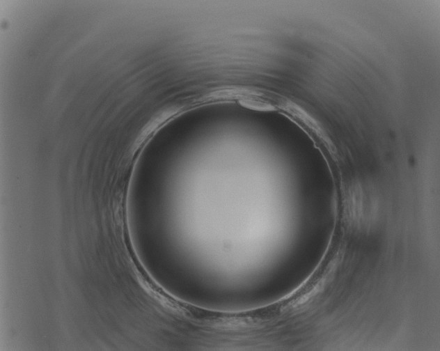 X0000073931049200608181109