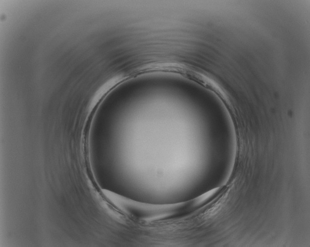 X0000073931050200608181109